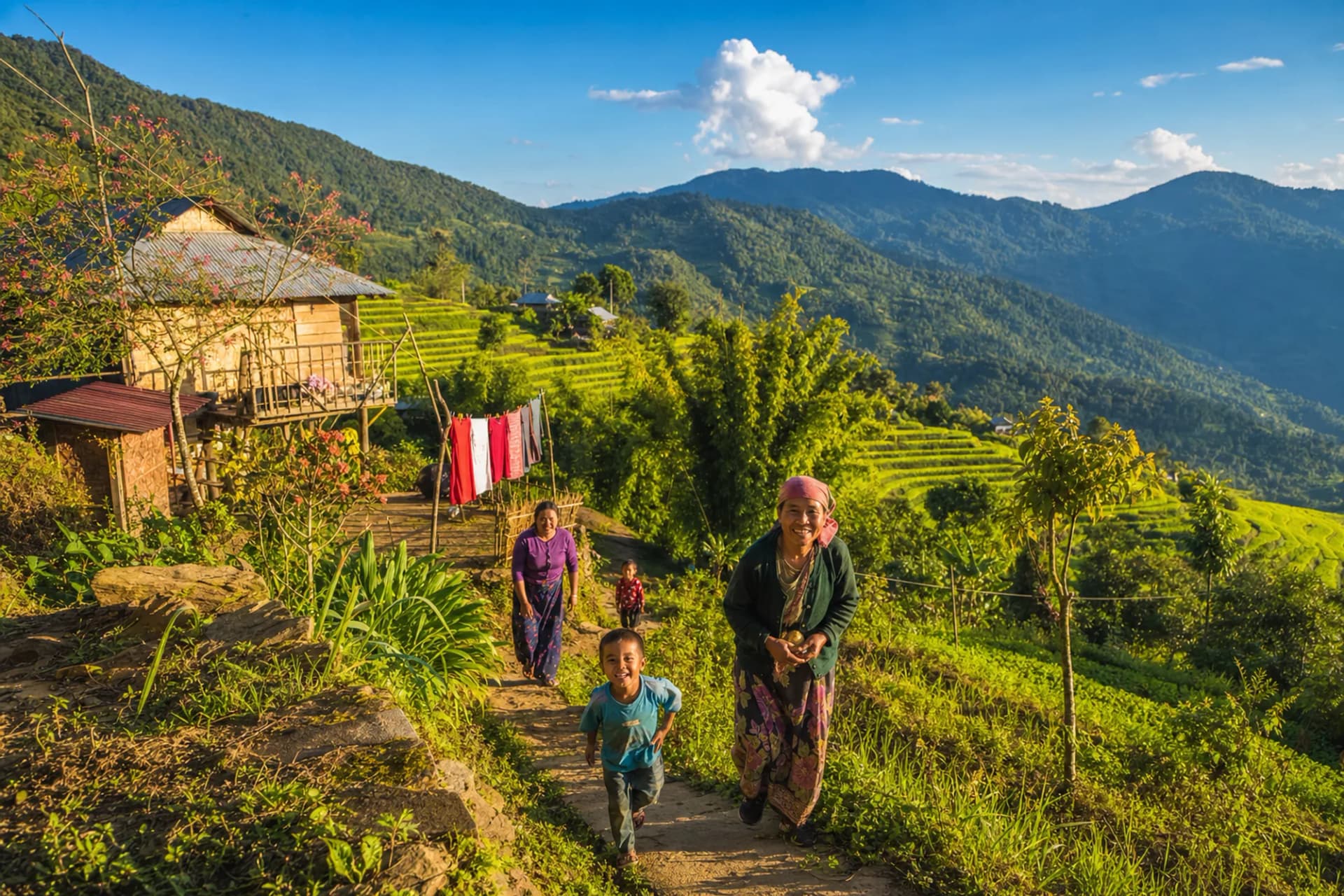 Bright green terraced fields and small homesteads on a hillside in warm afternoon light